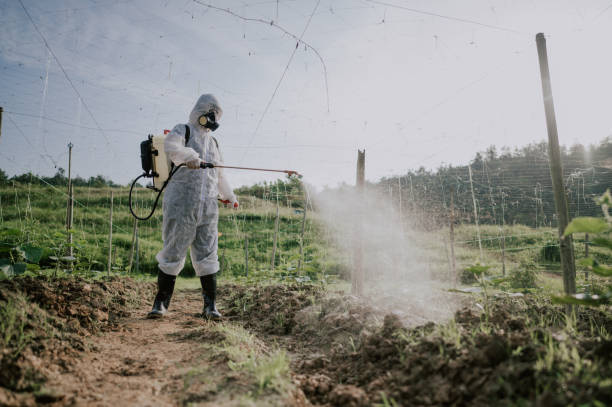 Best Pest Removal Services  in Fairmount, TN