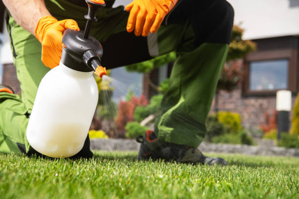 Best Best Pest Control Companies  in Fairmount, TN