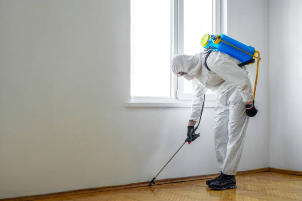 Best Wildlife Control Services  in Fairmount, TN