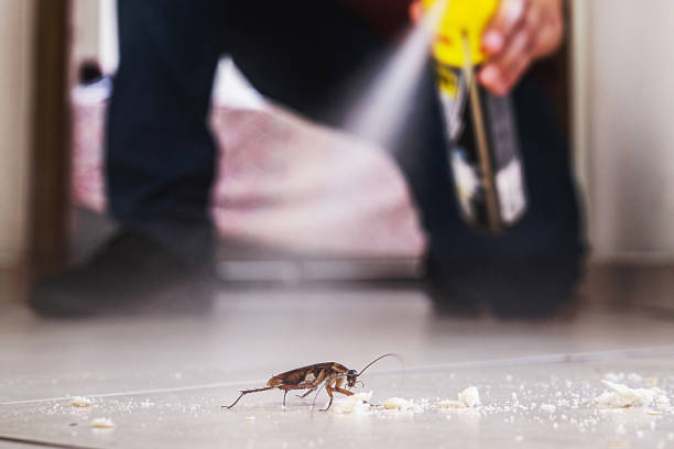 Trusted Fairmount, TN Pest Control Experts