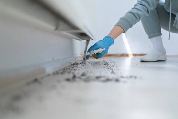 Best Pest Prevention Services  in Fairmount, TN
